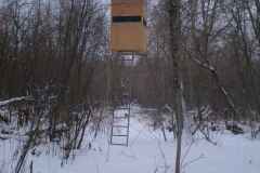 New Stand